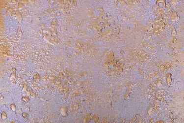 Walls-Design-img-15_11zon