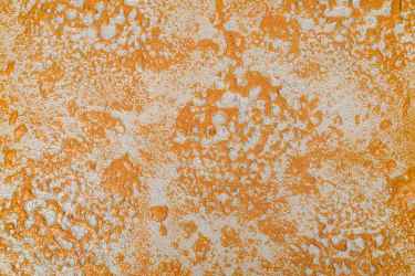 Walls-Design-img-16_11zon